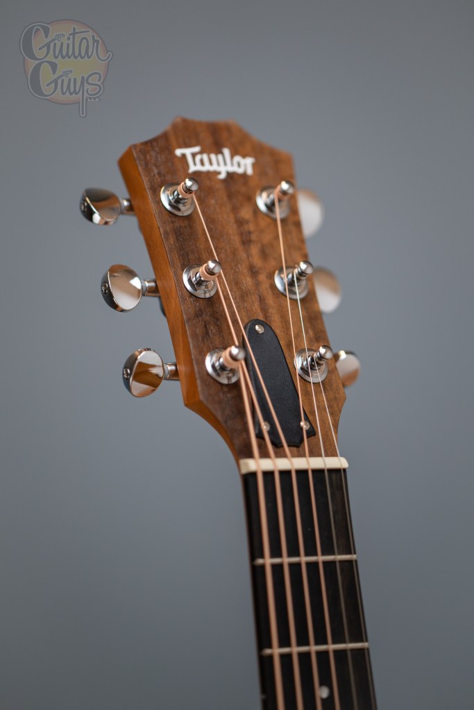 Taylor GS Mini Guitar Guys
